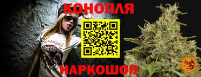 гидра Краснокаменск