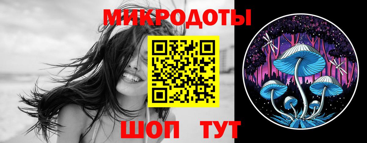 Псилоцибиновые грибы мицелий  Вход с VPN  Чита 