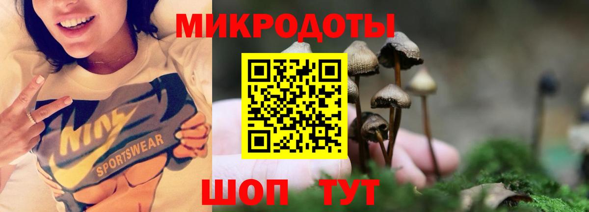 Псилоцибиновые грибы ЛСД Чита